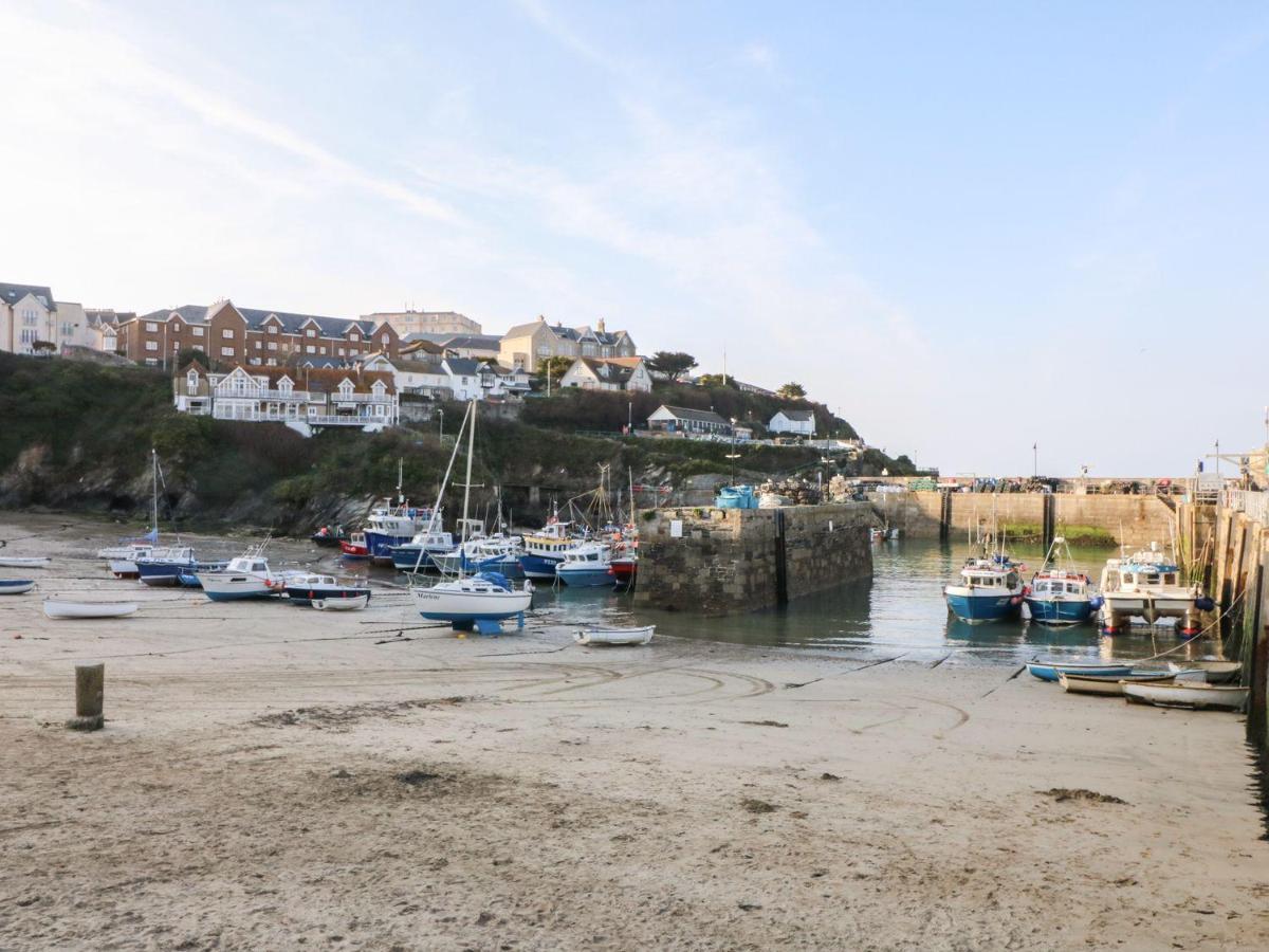 Number 5 Vila New Quay Exterior foto